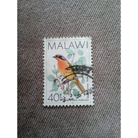 Малави 1996. Птицы