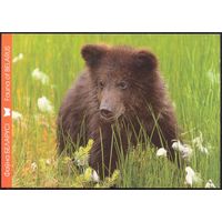 Беларусь 2014 посткроссинг фауна медвежонок