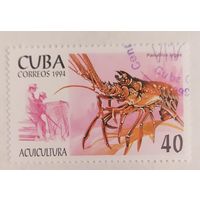 Куба 1994, рак
