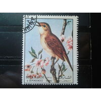 Шарджан 1972 Певчая птица