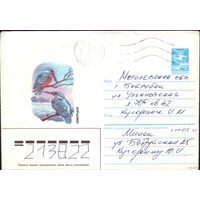 1986 год ХМК Зимородок 86-238