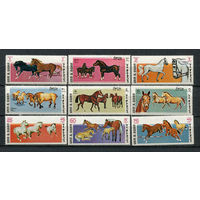 Умм-эль-Кайвайн - 1969 - Лошади - [Mi. 314-322] - полная серия - 9 марок. MNH.  (Лот 97Dt)
