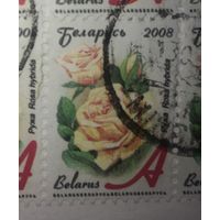 Беларусь 6 марок с двойной печатью черного цвета на вырезке редкость флора цветы роза (Б-14)