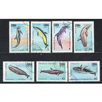 Киты Куба 1984 год серия из 7 марок