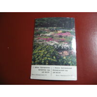 Календарик Минск Центральный Ботанический сад (1987 год)