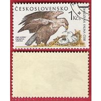Чехословакия 1989 Морской орел