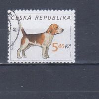 [383] Чехия 2001. Фауна.Собака.Бигль. Гашеная марка.