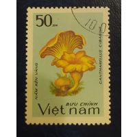 Вьетнам 1983 грибы