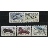 Морские млекопитающие. 1971. Полная серия 5 марок. Чистые