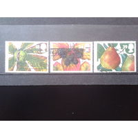 Англия 1993 Фрукты и ягоды Михель-3,1 евро гаш