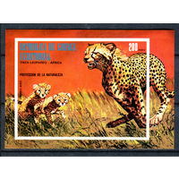 Экваториальная Гвинея - 1974г. - Африканские животные - полная серия, MNH, есть небольшая вмятинка с обратной стороны [Mi bl. 146] - 1 блок
