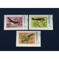 Албания 1974 год Фауна Певчие Птицы Серия 3 марки Mi:1707-1709 Гашеные