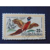 Чехословакия 1971 г. Птицы.