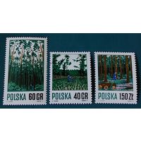 Польша 1971 Востановление леса