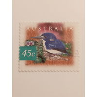 Австралия 1997. Little Kingfisher