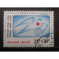 Бельгия 1981 Красный Крест, конгресс по радиологии Михель-2,0 евро гаш
