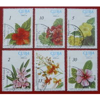 Куба. Цветы. ( 6 марок ) 1977 года. 4-20.
