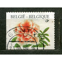 Цветы. Рододендрон. Бельгия. 1997. Полная серия 1 марка