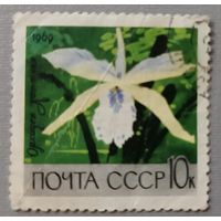 СССР,1969.Орхидея Каттлея.