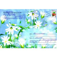 2005. Конверт, прошедший почту "Цветы-6" (200х130 мм)