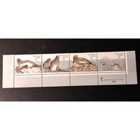 Марки о-ва Мадейра: 4м/с сцепка тюлени 1993г, 6.0 Михель-евро