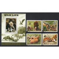 Хищные животные КНДР 1984 год серия из 4-х марок и 1 блока
