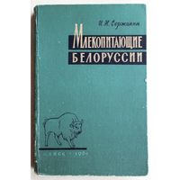 И.Н. Сержанин. Млекопитающие Белоруссии. (Мн.: Академия наук БССР, 1961 г.)