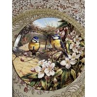 Тарелка коллекционная Птички Синички Англия винтаж