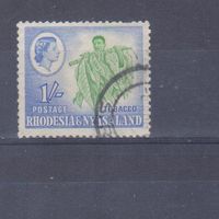 [2165] Британские колонии. Родезия и Ньясаленд 1959. Елизавета II.Уборка табака. Гашеная марка.