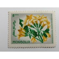 Монголия 1966. Цветы