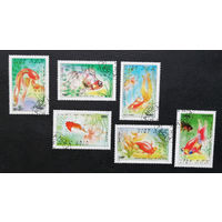 Вьетнам 1990 г. Золотые рыбки. Фауна, полная серия из 6 марок #0200-Ф1P46