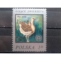 Польша, 1977, Птица