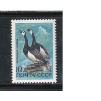 СССР-1972, (Заг.4026)  **, Фауна, Птицы,