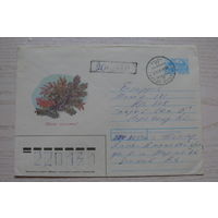 Зарубин В., ХМК, С Новым годом! (на казахском языке), 1992, подписан.